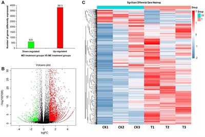 BdorOR88a Modulates the Responsiveness to Methyl Eugenol in Mature Males of Bactrocera dorsalis (Hendel)